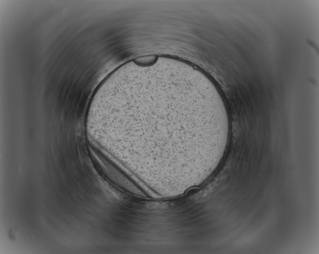X0000091921521200710031029