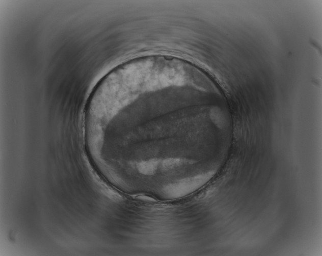 X0000091921522200710031029