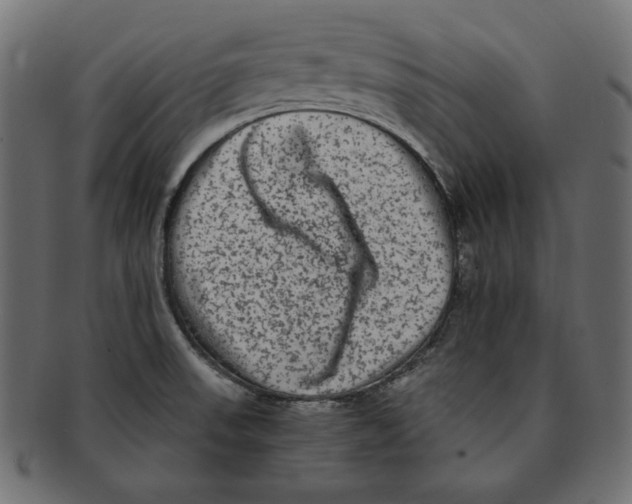 X0000091921523200710031029