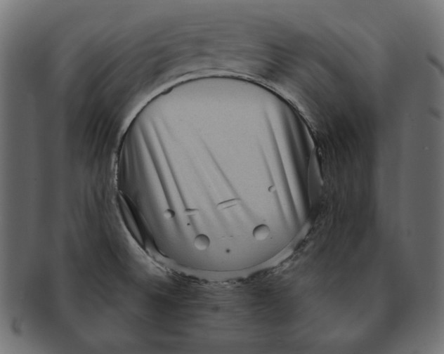 X0000091921524200710031029