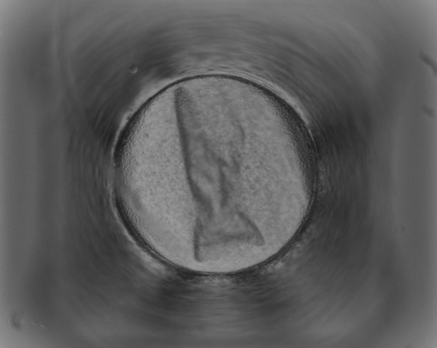 X0000091921525200710031029