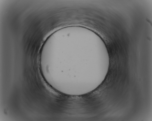 X0000091921526200710031029