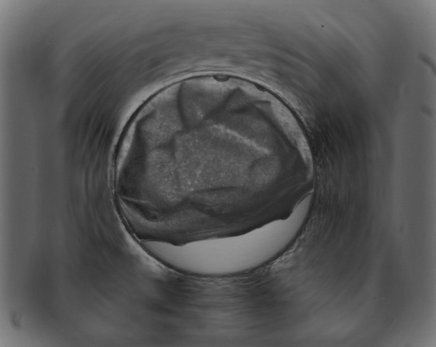 X0000091921527200710031029