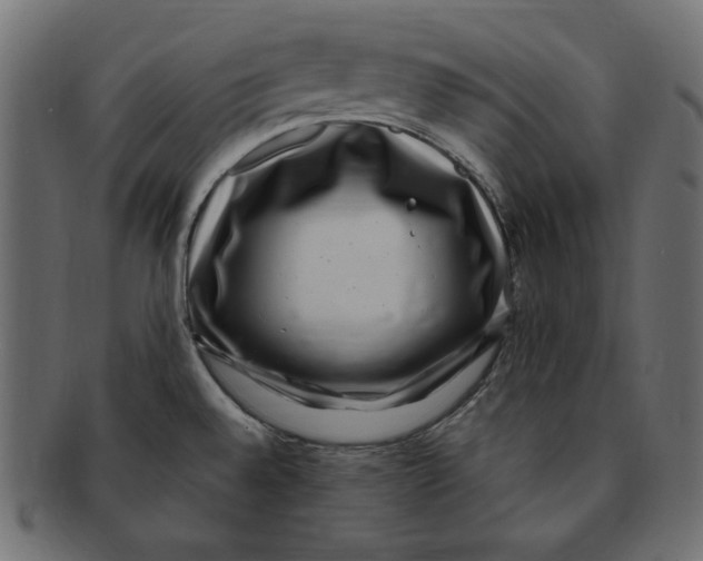 X0000091921528200710031029
