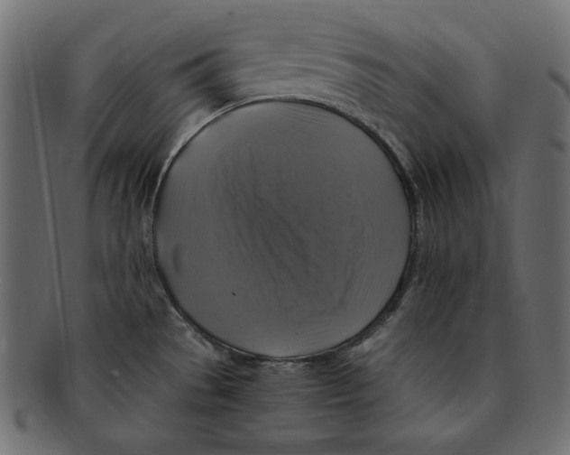 X0000091921529200710031029