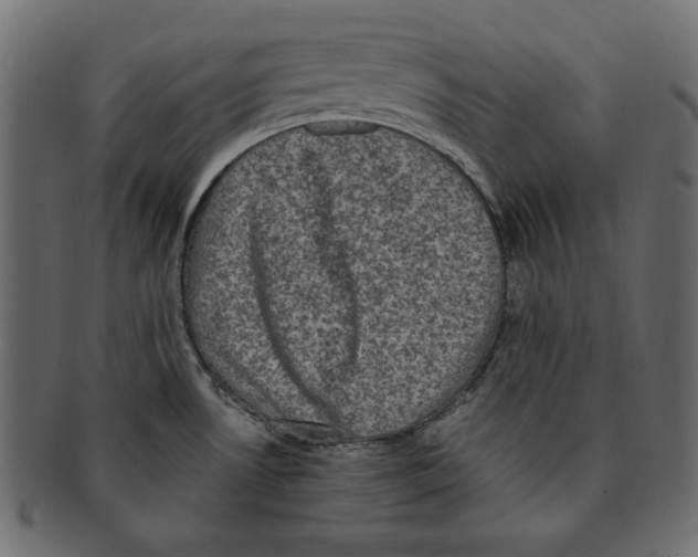 X0000091921530200710031029