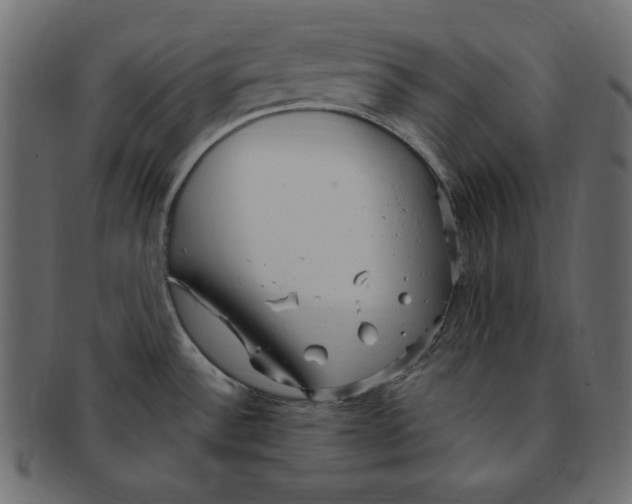 X0000091921532200710031029