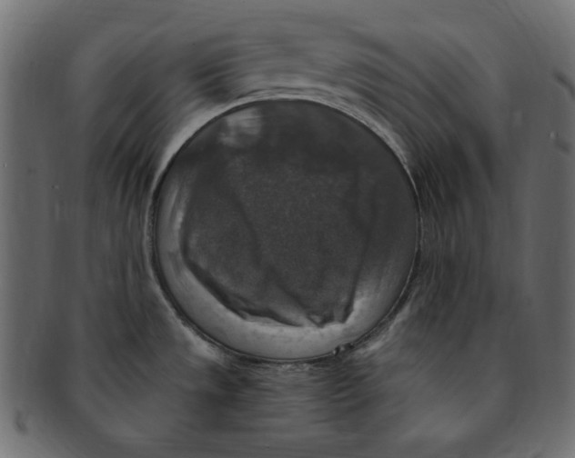 X0000091921533200710031029