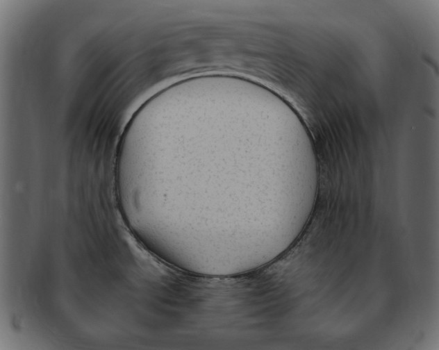 X0000091921534200710031029