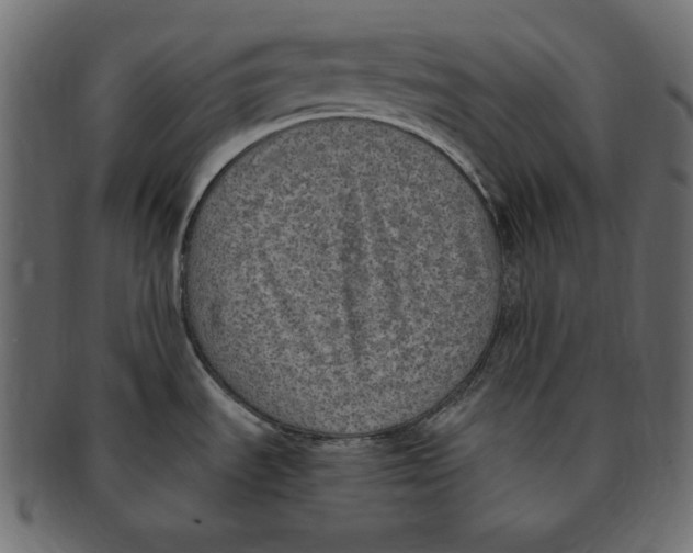 X0000091921535200710031029