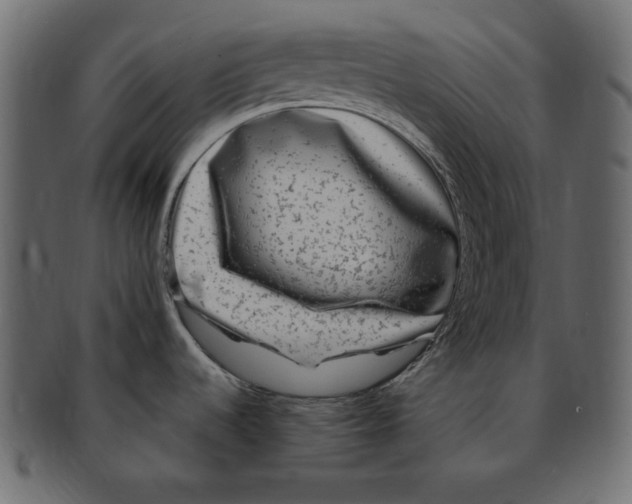 X0000091921536200710031029