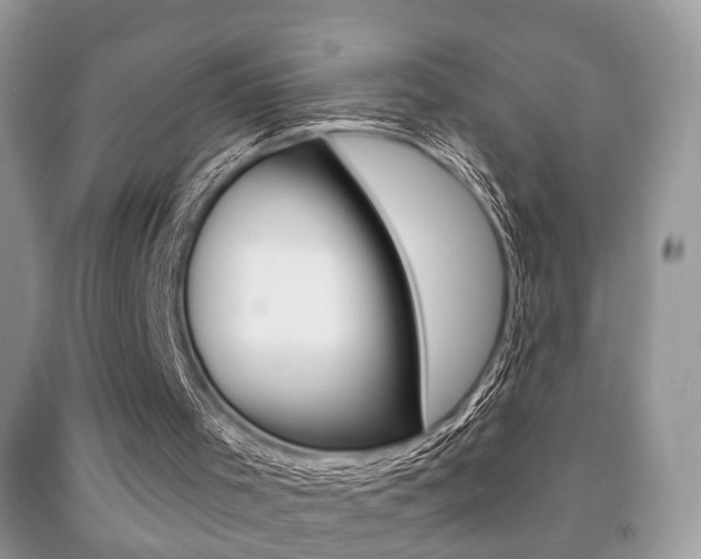 X0000091930001200709051250