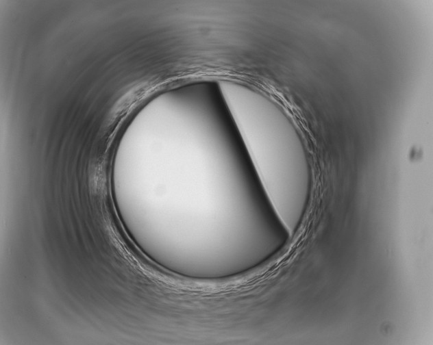 X0000091930002200709051250