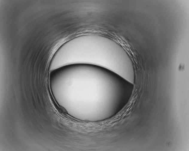 X0000091930003200709051250