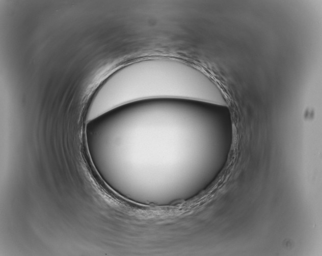 X0000091930005200709051250