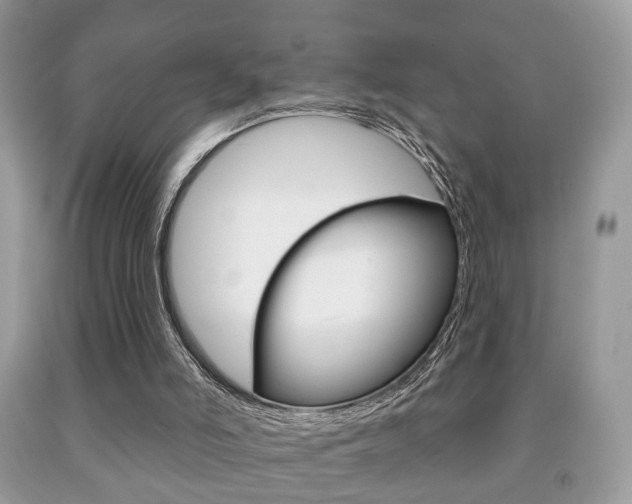 X0000091930006200709051250