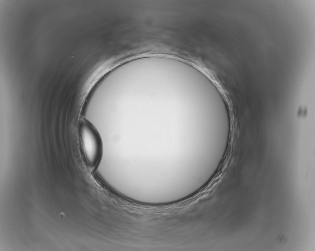 X0000091930007200709051250