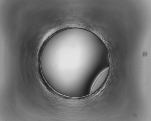 X0000091930008200709051250