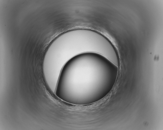 X0000091930009200709051250
