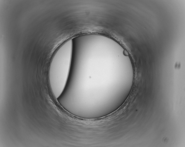 X0000091930010200709051250