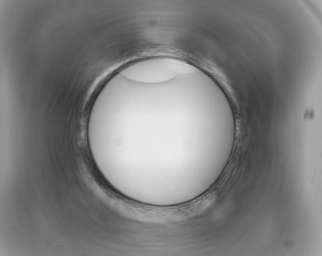 X0000091930012200709051250