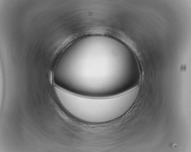 X0000091930013200709051250