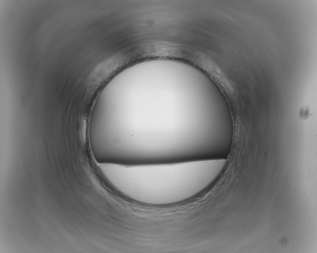 X0000091930014200709051250