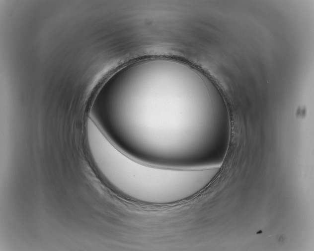 X0000091930015200709051250