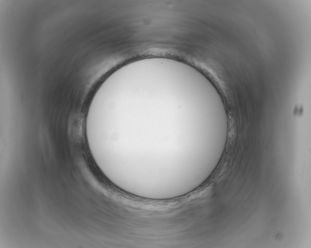 X0000091930016200709051250
