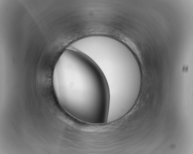 X0000091930017200709051250