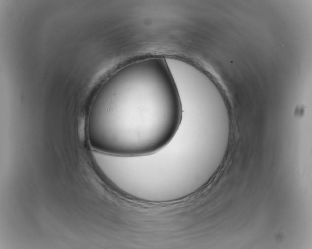 X0000091930019200709051250
