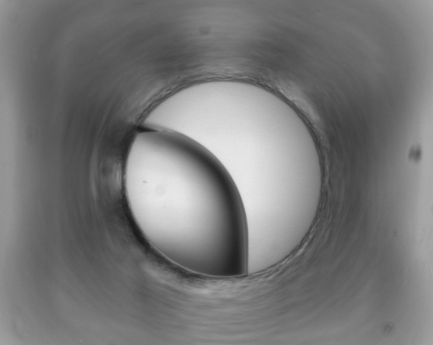 X0000091930021200709051250