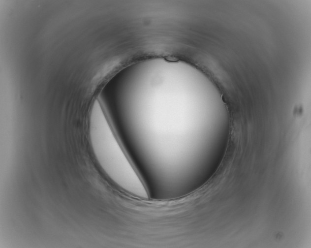 X0000091930023200709051250