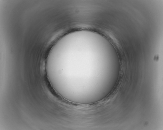 X0000091930024200709051250
