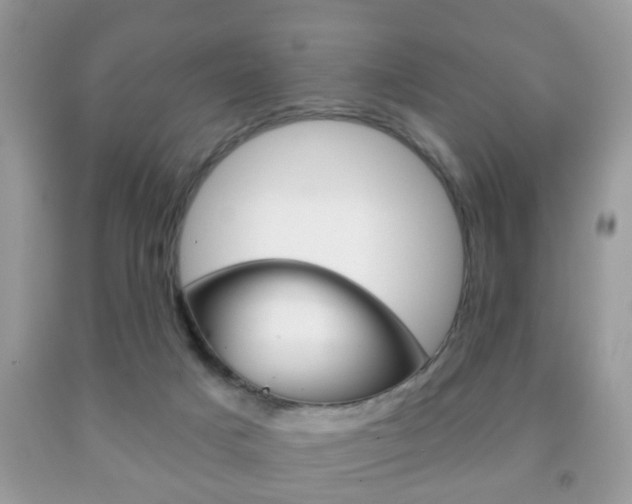 X0000091930025200709051250