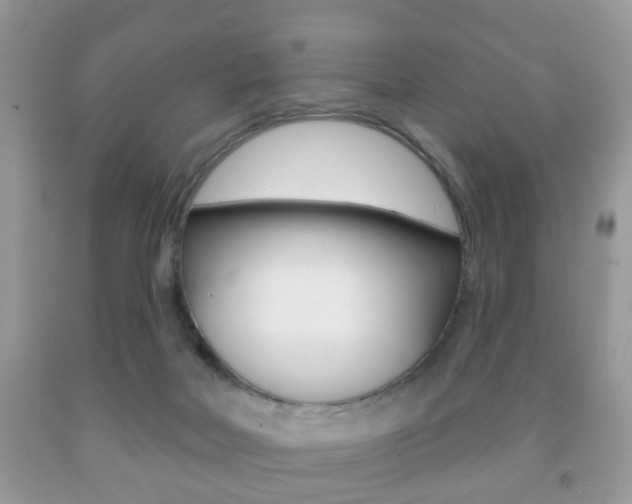 X0000091930026200709051250