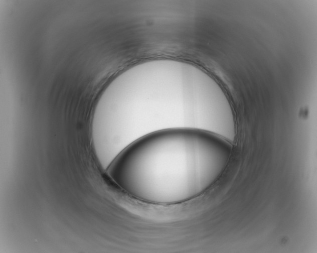 X0000091930027200709051250