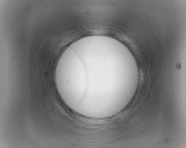 X0000091930028200709051250
