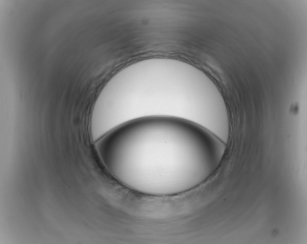 X0000091930029200709051250