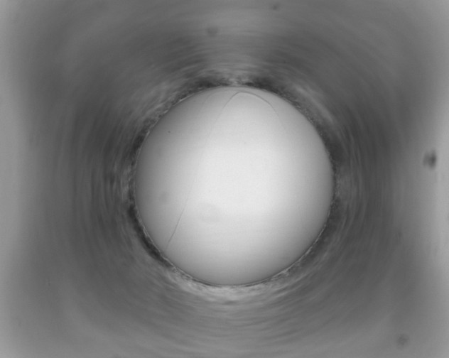 X0000091930030200709051250