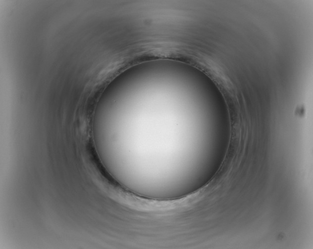 X0000091930031200709051250