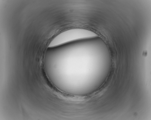 X0000091930032200709051250