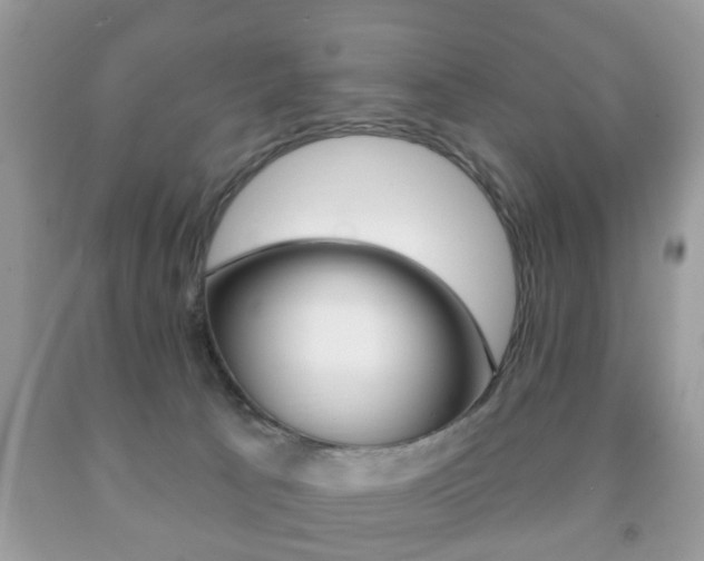 X0000091930033200709051250