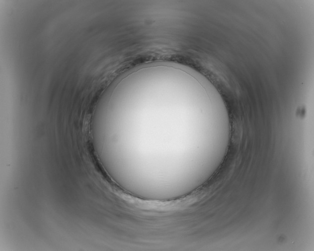 X0000091930034200709051250