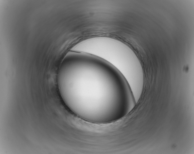 X0000091930035200709051250