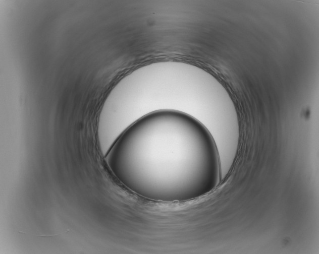 X0000091930037200709051250