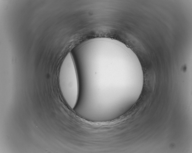 X0000091930038200709051250