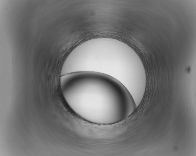 X0000091930039200709051250
