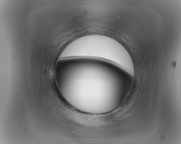 X0000091930040200709051250