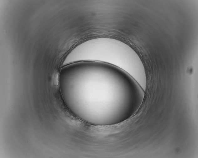 X0000091930041200709051250